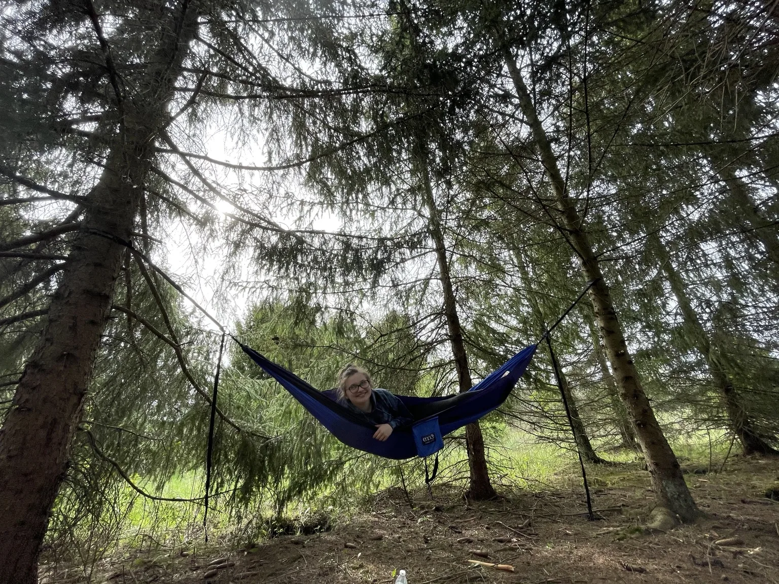 Hammock under the trees