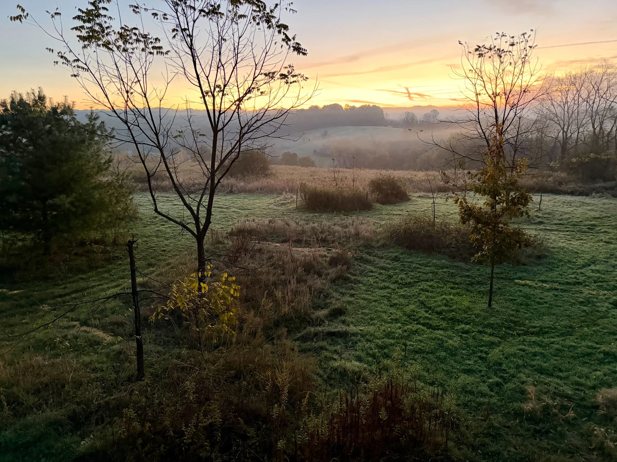 Sunrise across the Halo Hills property